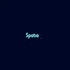 spatiafi.com