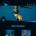 spearfishinginstructors.com