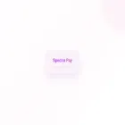 spectra-pay.com