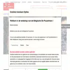 spelenpuzzel.nl