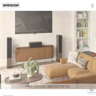 spendoraudio.com