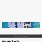 spicyrecipedia.com
