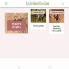 spideridentifications.com