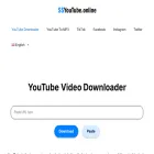 ssyou.online