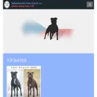 staffbullclub.cz