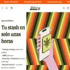stashx.mx