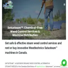 steamnweeds.com