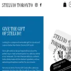 stelviotoronto.ca