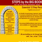 stepsbybigbook.net