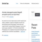 stiriletale.com