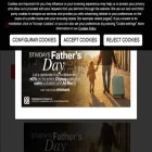 stivibags.com