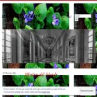stormyb816744.com