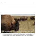 storyofthebison.com