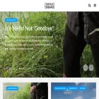storytellersquad.com