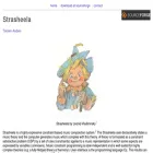 strasheela.sourceforge.net