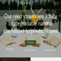 strawsandstuff.com
