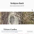 strubgrassranch.com