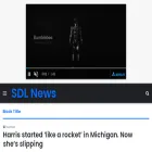 sturmderliebenews.de