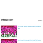 stylepulsedaily.com