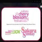 subarucherryblossom.org