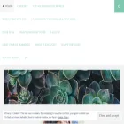 succulentsandstory.com