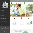 suculentasdzitya.com