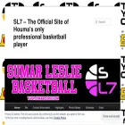 sumarleslie.com