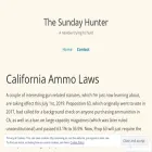 sundayhunter.com