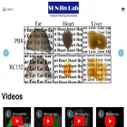 sunjinlab.com
