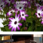 suntoryflowers.com