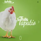 supollo.mx