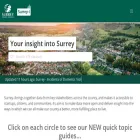 surreyi.gov.uk