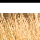 susan-michael.com
