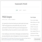 suzannahsworld.com