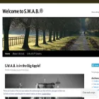 swabstory.com