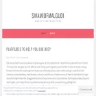 swamiofmalgudi.com