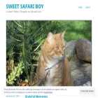 sweetsafariboy.com
