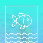 swimhaus.com