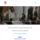 synapsi.be