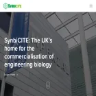 synbicite.com