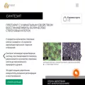 synthesit.ru