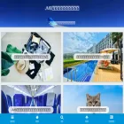 tadanori-airline.com