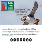 talkinbirds.com