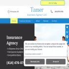 tamerins.com