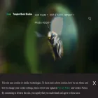 tangledbankstudios.org