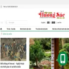 tapchivietnamhuongsac.vn