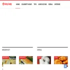 tastycandy.in