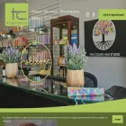 tcstudio.ca