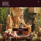 teddyhouseqatar.com