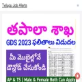 telugujobalerts24.com